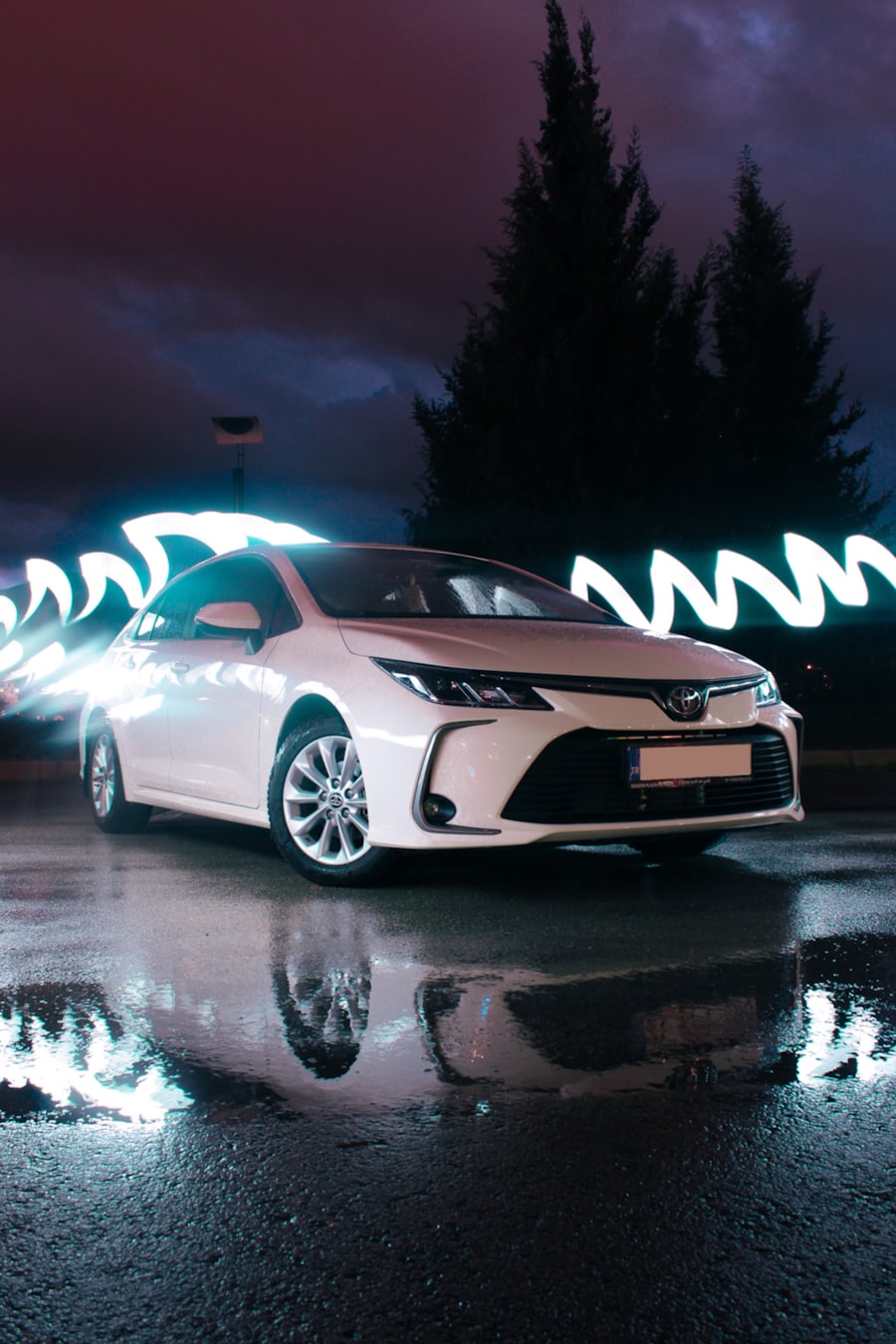 Über ASFI Vignette Trip